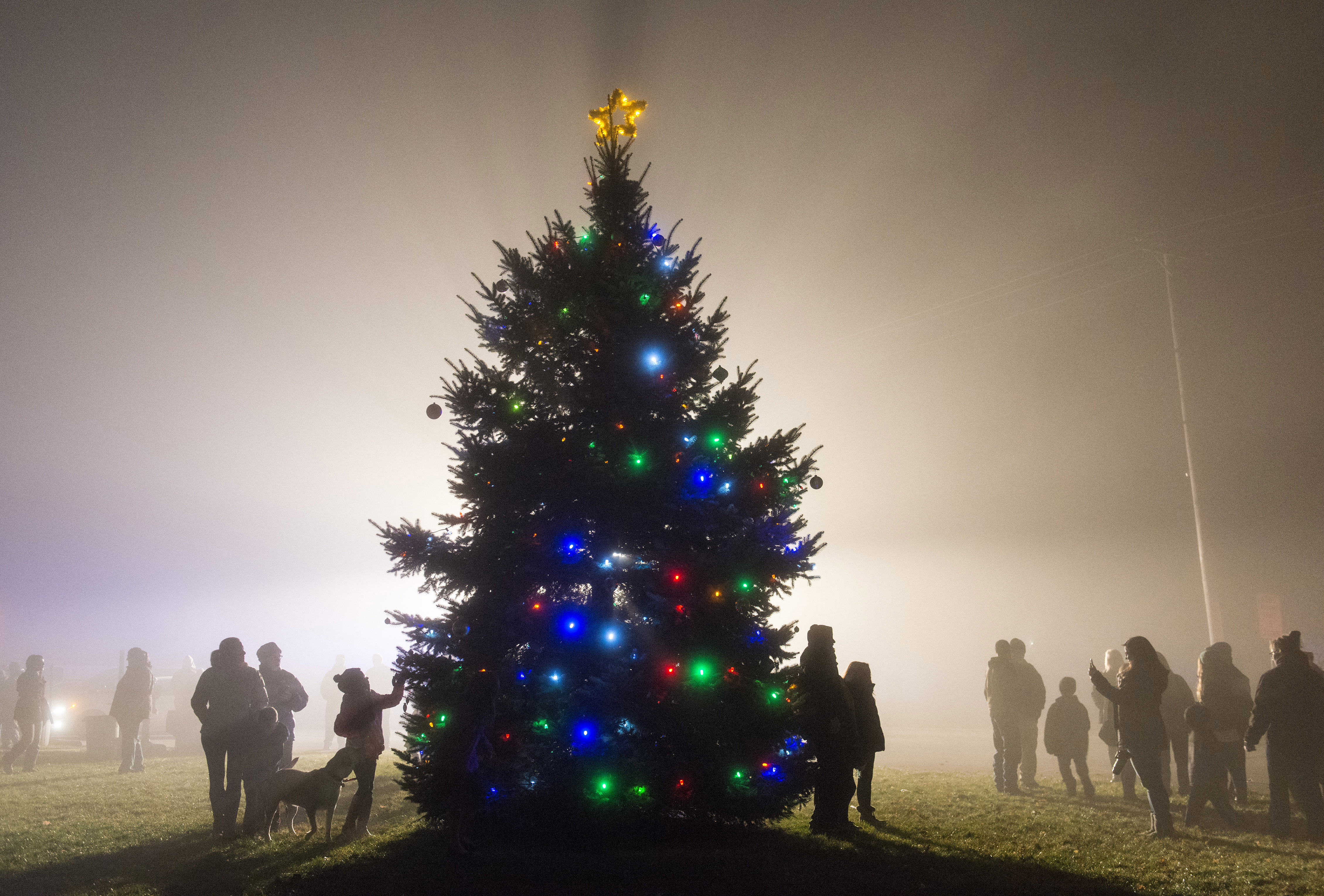 The tree is lit through heavy fog in Gibsonburg during the annual Christmas tree lighting ceremony,